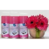 Combo 3 bình xịt phòng hương Cafe Hommax
