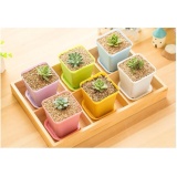 [HCM]Combo 3 Chậu Nhựa Trồng Cây Vuông 8x7cm RainStore - Trắng - Hồng - Xanh dương