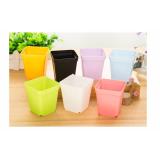 [HCM]Combo 3 Chậu Nhựa Trồng Cây Vuông 8x7cm RainStore - Xanh Dương - Trắng - Tím