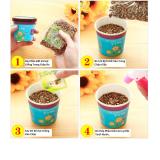 Combo 4 Chậu hạt giống Cây cảnh bàn học Lamdep (Cẩm Chướng_Oải Hương_Bạc Hà_Hướng Dương))