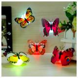 Combo 5 bướm phát sáng gắn tường trang trí siêu đẹp
