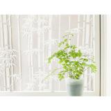 Cuộn 5m giấy dán kính trúc trắng khổ 45cm