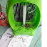 Đèn diệt muỗi hình Angry Bird