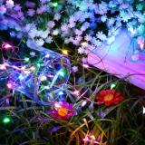 Đèn Đom Đóm FireFly Light 5M Dùng Pin