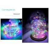 Đèn Đom Đóm FireFly Light 5M Dùng Pin