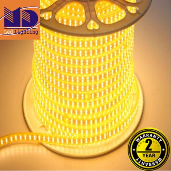 Đèn Led dây ánh sáng vàng 100m - 2835 MD98