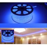 Đèn led dây cuộn 100m 3014 màu xanh dương MD98