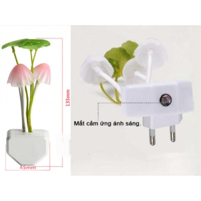 Bảng giá Đèn LED Ngủ Nấm Cảm Ứng Ánh Sáng OML
