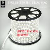 Đèn LED trang trí 5050 100m 220v