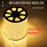 Đèn LED trang trí 5050 100m 220v