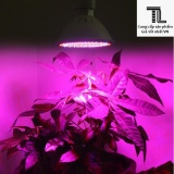 Đèn led trồng cây, giúp cây phát triển trong nhà 20W 220V