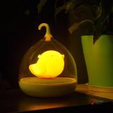Đèn ngủ hình lòng chim Birdcage