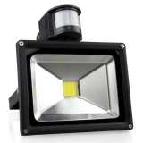 Đèn pha cảm ứng 10W