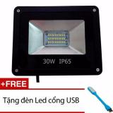 Đèn Pha  Led 30W - IP65  (Ánh Sáng Trắng) + Tặng Đèn led USB siêu sáng