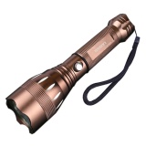 Đèn pin siêu sáng HY-8028 [màu đồng]