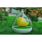Đèn trang trí hình lòng chim Birdcage