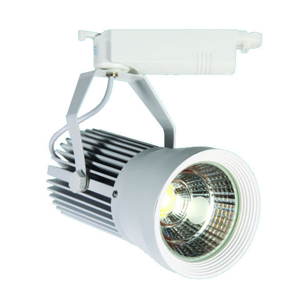 Đèn trang trí NetViet Pha ray NP 037 LED cob 20W