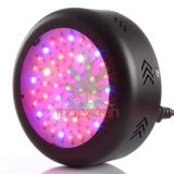 Đèn trồng cây, Led trồng cây đủ phổ (Full Spectrum Luxeon UFO 150W)