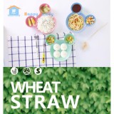 [HCM]Đĩa Mickey chất liệu sợi lúa mì Wheat Straw