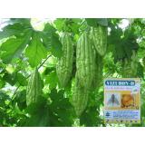 DIỆT RUỒI VÀNG ĐỤC TRÁI HOA VIZUBON-D 10ml(Vàng)