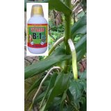 Dung dịch siêu ra rễ chuyên dùng cho hoa lan phong lan Vitamin B1 Đỉnh Nông 220 ml (có cốc đong)