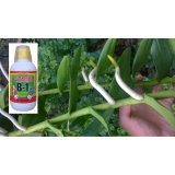 Dung dịch siêu ra rễ chuyên dùng cho hoa lan phong lan Vitamin B1 Đỉnh Nông 220 ml (có cốc đong)