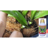 Dung dịch siêu ra rễ chuyên dùng cho hoa lan phong lan Vitamin B1 Đỉnh Nông 220 ml (có cốc đong)