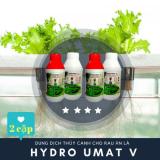 HYDROUMAT V - dung dịch thủy canh cho RAU ĂN LÁ