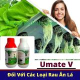 Dung dịch thủy canh trồng rau ăn lá Hydro Umat V 