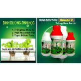 Dung dịch thủy canh trồng rau ăn lá Hydro Umat V 