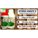 Dung dịch thủy canh trồng rau ăn lá Hydro Umat V 
