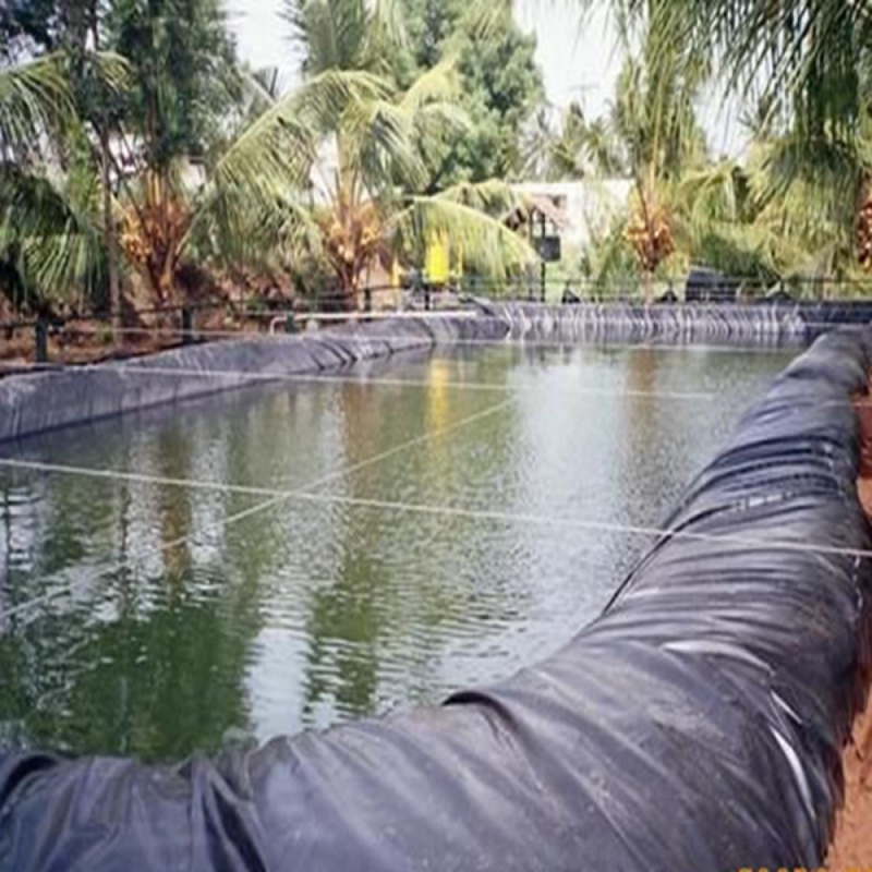 Geomembrane impermeable membrane reservoir / lotus pool / pond impermeable membrane waterproofing membrane aquaculture ponds dedicated film 3.0m X 3.0m - intl