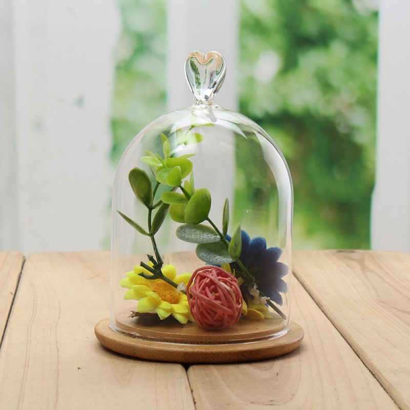 Glass Display Cloche Bell Jar Dome Flower Immortal Preservation With Wooden Base - intl