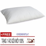 Gối tơ tằm LIÊN Á (45 x 65 x 15)(Trắng)