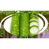 Hạt giống BẦU SAO F1
