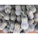 Hạt giống Bí hạt đậu - Giống chất lượng cao, sai quả