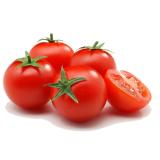 Hạt giống Cà chua chịu nhiệt - Giống chất lượng cao, sai quả