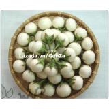 Hạt giống cà pháo trắng f1 - giống chất lượng cao, sai quả