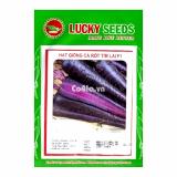 Hạt giống Cà rốt tím (Lucky)(Violet)