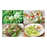 [HCM]Hạt Giống Cải Mầm Đá - KLT 20 Hạt .