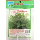 Hạt giống Cây chùm ngây - 2g