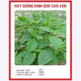 Hạt giống cây kinh giới