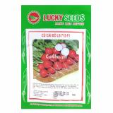 Hạt giống Củ cải đỏ Đức (Lucky)(Red)