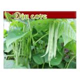 [HCM]Hạt giống đậu cove trắng leo PN - 10g
