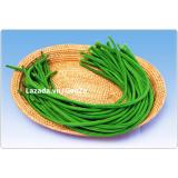 Hạt giống Đậu đũa xanh sai quả