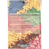 Hạt giống Hành lá gốc trắng White 01 - 2g