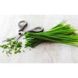 Hạt Giống Hẹ Tây (Chives) Phú Nông  - KLT 2g .