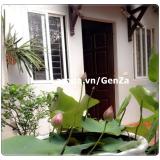 Hạt giống hoa sen Nhật 3 hạt 3 màu khác nhau