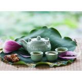 Hạt giống hoa sen ta Cây lớn - Bông lớn