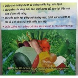[HCM]Hạt Giống KiWi F1  Đức - KLT 20 hạt